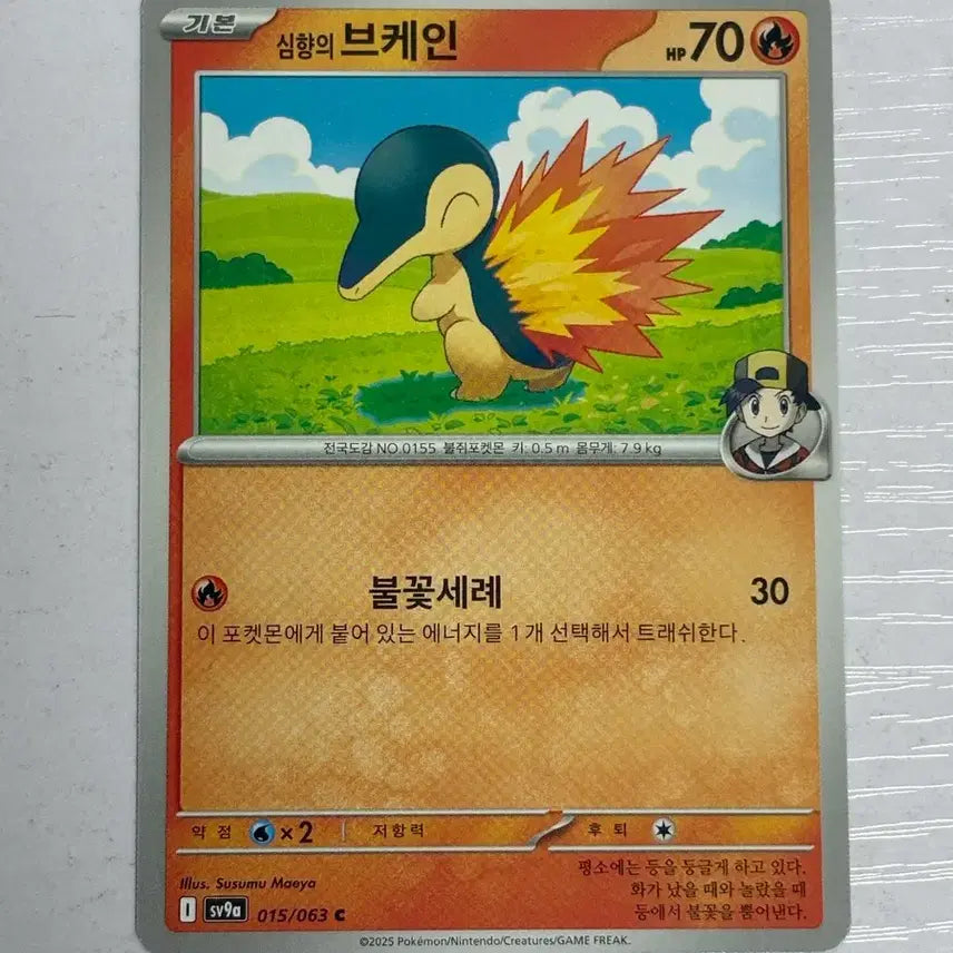[BUNJANG] Pokemon Card - Cyndaquil / [귀여운 포켓몬 카드] 심향의 브케인