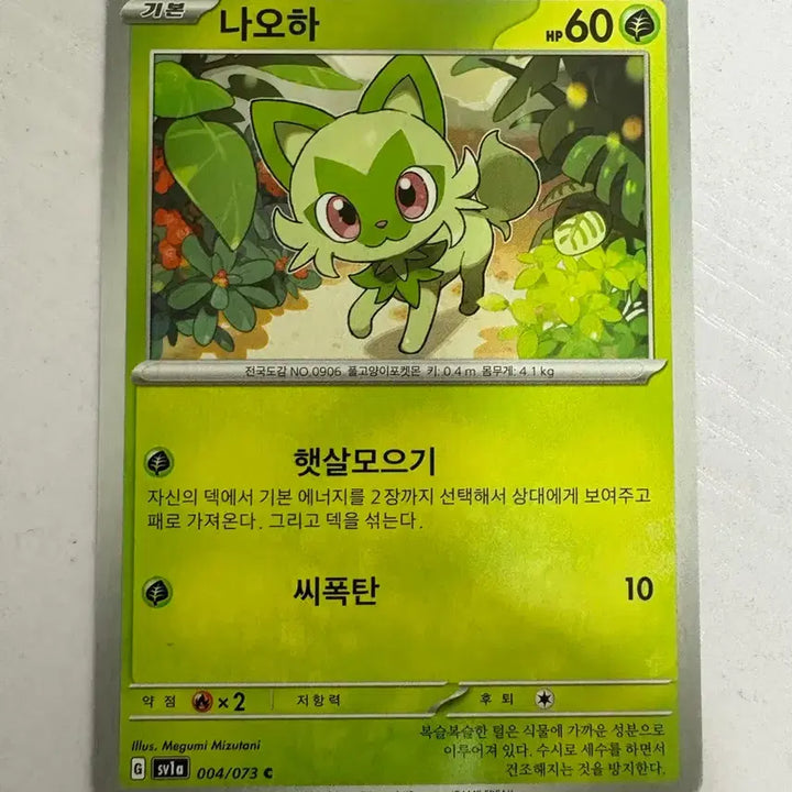 [SOLD OUT] [귀여운 포켓몬 카드] 나오하