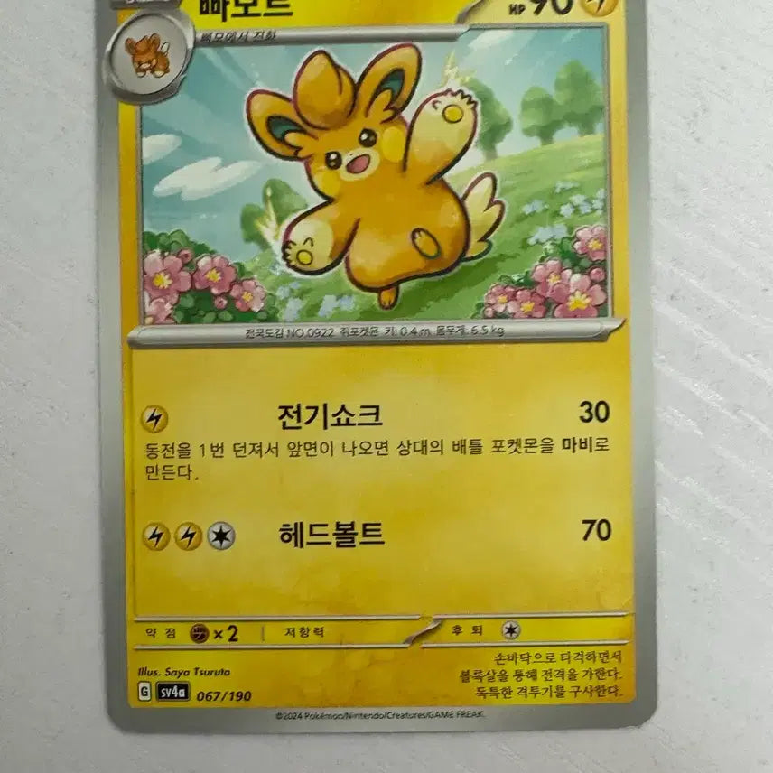 [BUNJANG] Pokemon Card Ball / [귀여운 포켓몬 카드] 빠모트