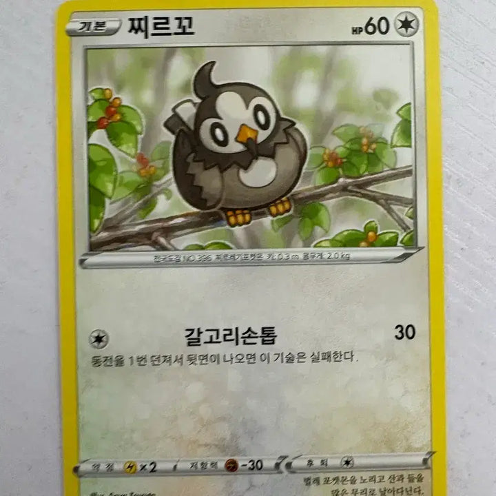 [BUNJANG] Pokemon Card Cyndaquil / [귀여운 포켓몬 카드] 찌르꼬