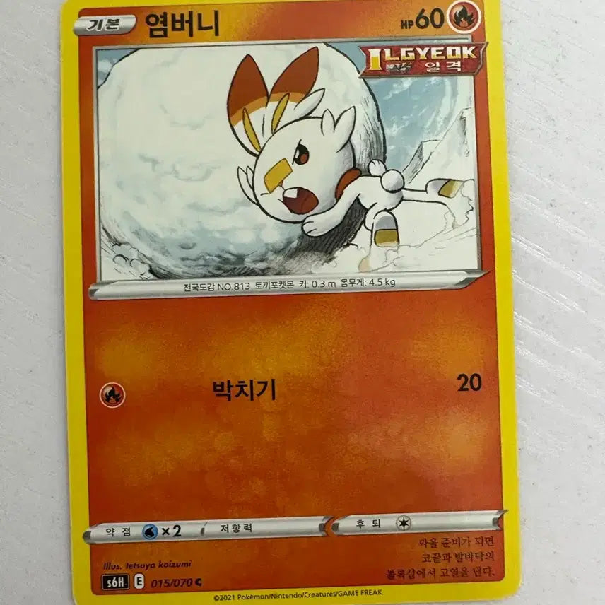 [BUNJANG] Pokemon Scorbunny Card / [귀여운 포켓몬 카드] 염버니