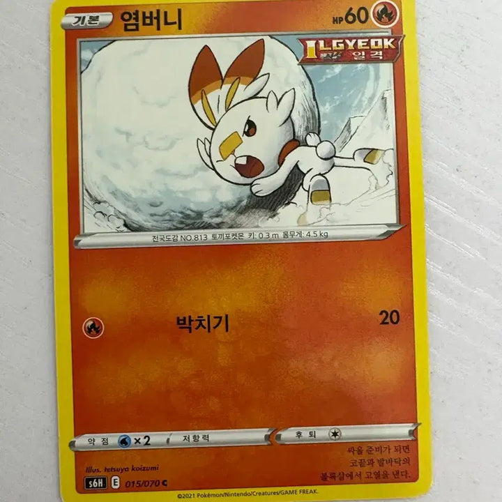 [BUNJANG] Pokemon Scorbunny Card / [귀여운 포켓몬 카드] 염버니
