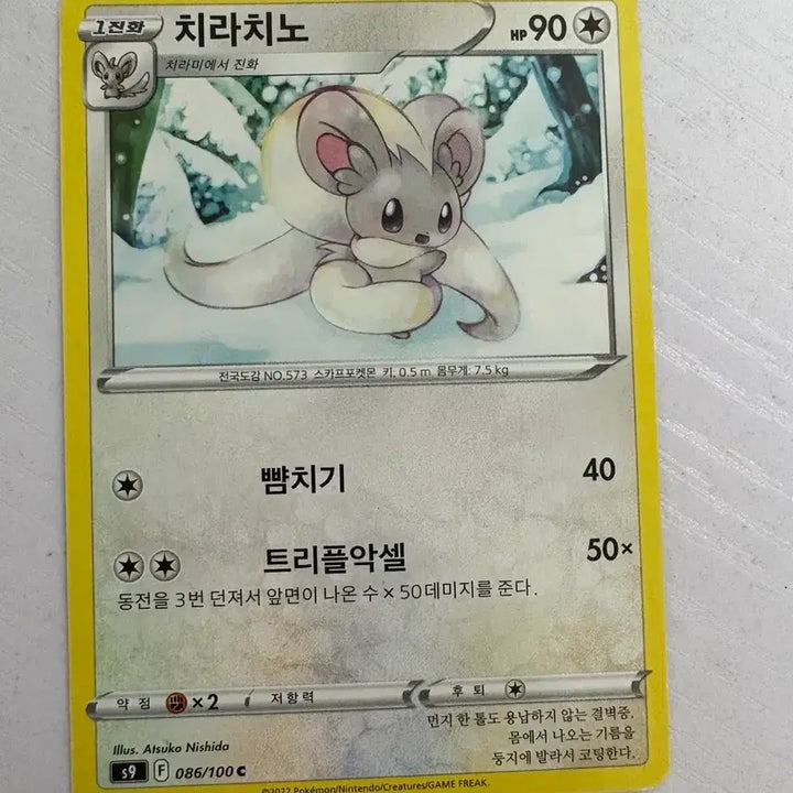 [SOLD OUT] [귀여운 포켓몬 카드] 치라치노