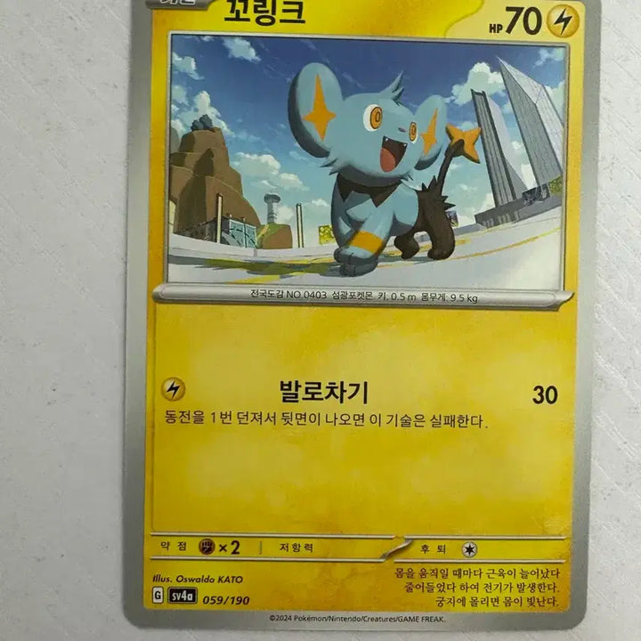 [SOLD OUT] [귀여운 포켓몬 카드] 꼬링크