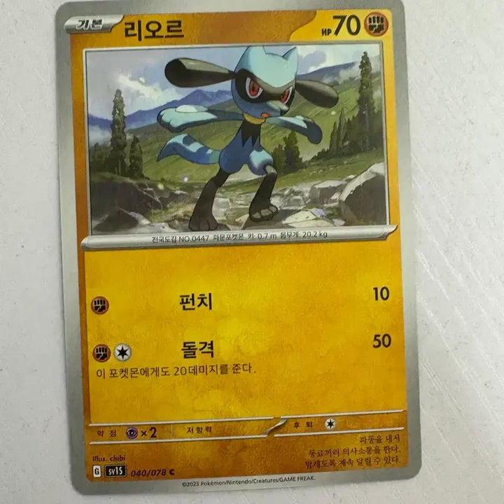 [BUNJANG] Leafeon Pokemon Card / [귀여운 포켓몬 카드] 리오르