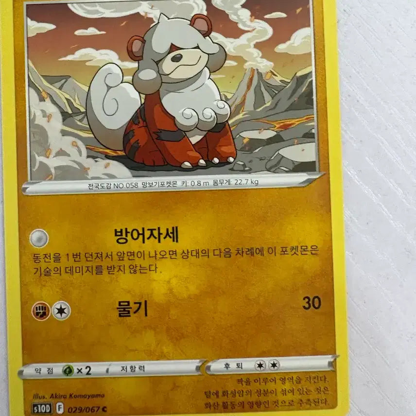 [BUNJANG] Hisuian Growlithe Pokemon Card / [귀여운 포켓몬 카드] 히스이 가디
