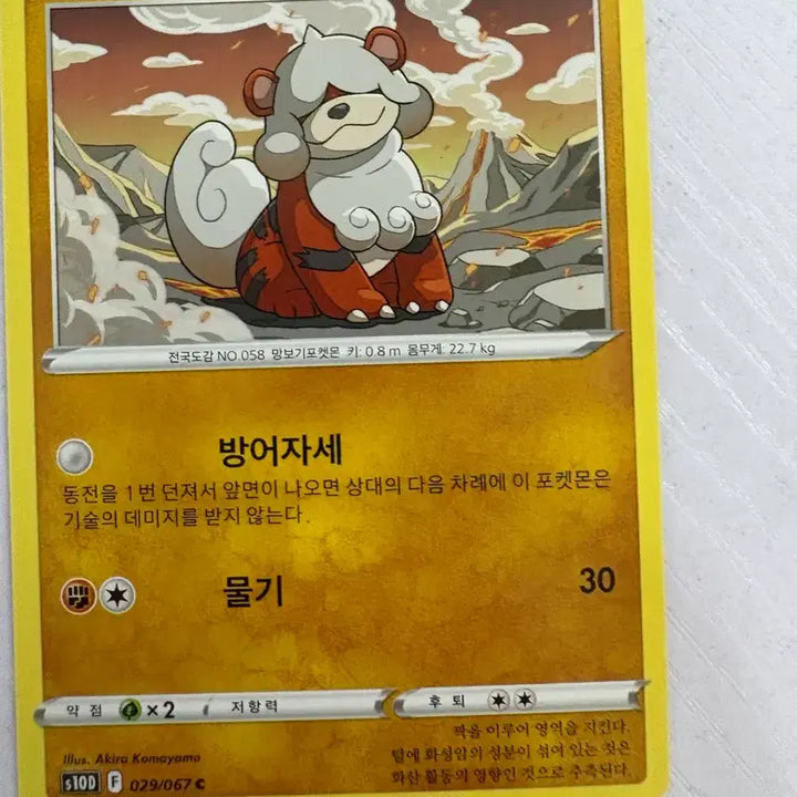 [BUNJANG] Hisuian Growlithe Pokemon Card / [귀여운 포켓몬 카드] 히스이 가디