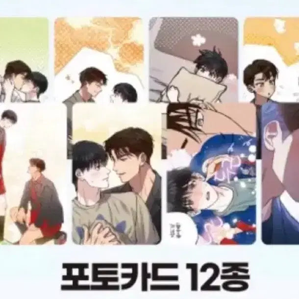 [BUNJANG] Half Line Bion Photocard Bundle Set / 하프라인 비온 방문포카 전종 양도