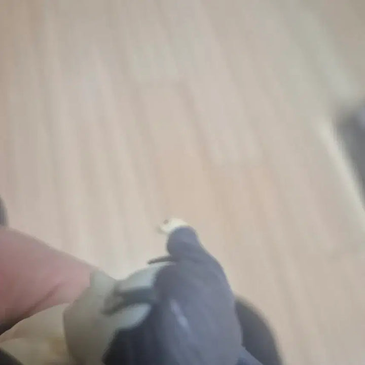 [BUNJANG] Attack on Titan Eren Yeager Pop-up / 진격의 거인 에렌 예거 팝업 퍼레이드 팝니다