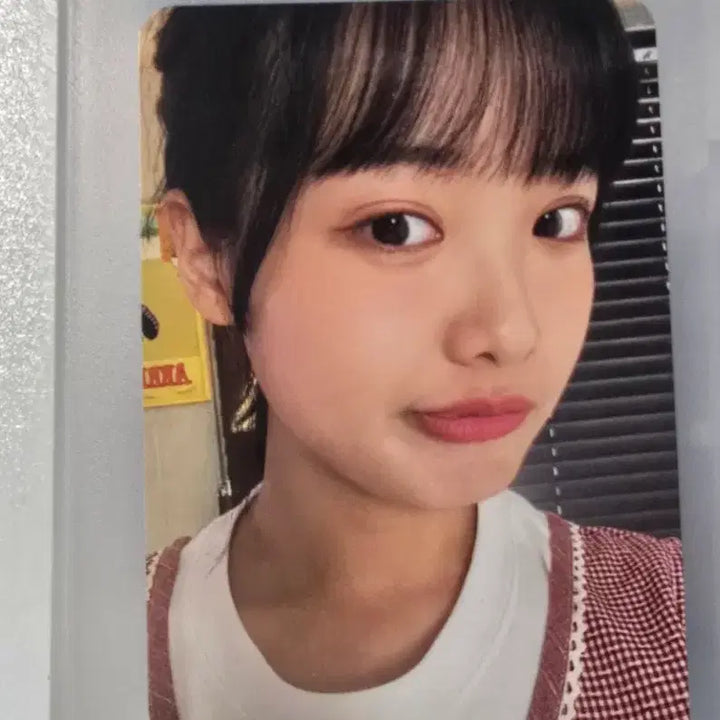 [BUNJANG] Hanroro Lee Sang-bihaeng Photocard / 한로로 이상비행 이 포토카드 포카