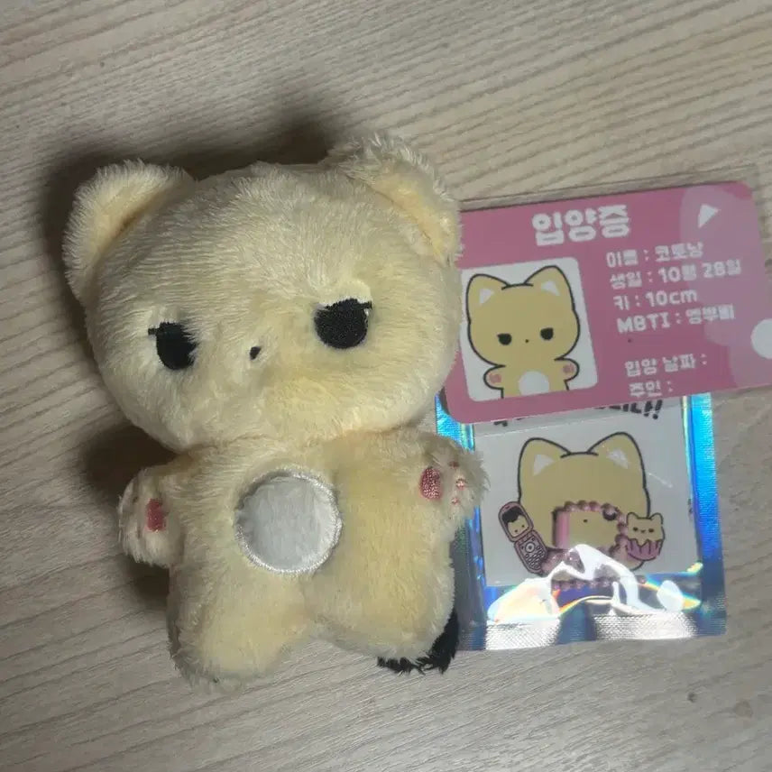 [BUNJANG] Kotonyang Full Set / 코토냥 풀셋