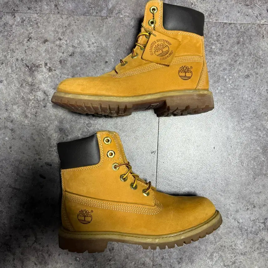 [BUNJANG] Timberland 6-Inch Premium Boots / 팀버랜드 6인치 프리미엄 220