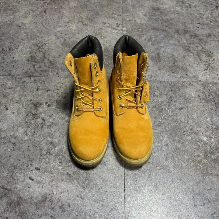 [BUNJANG] Timberland 6-Inch Premium Boots / 팀버랜드 6인치 프리미엄 220