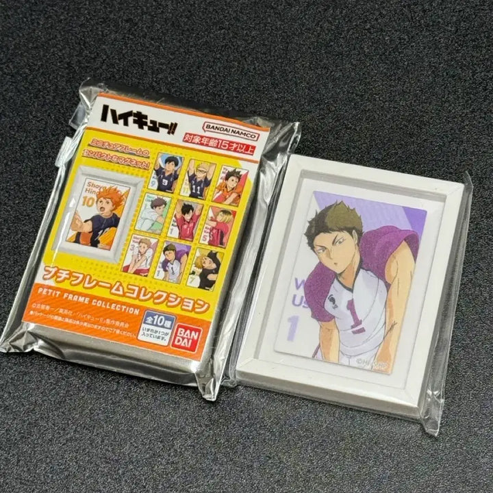 [BUNJANG] Haikyuu!! Ushijima Magnet Frame / 하이큐 마그넷 프레임 우시지마
