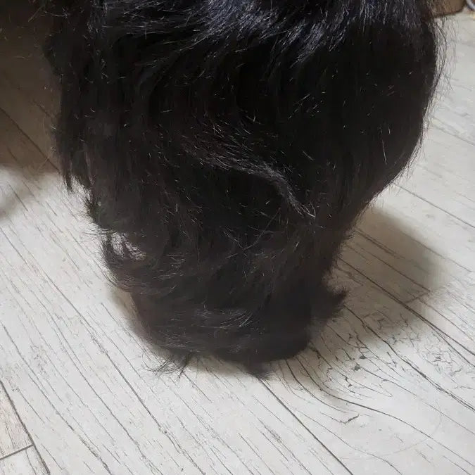 [BUNJANG] Hair Styling Materials Set / 헤어 미용재료