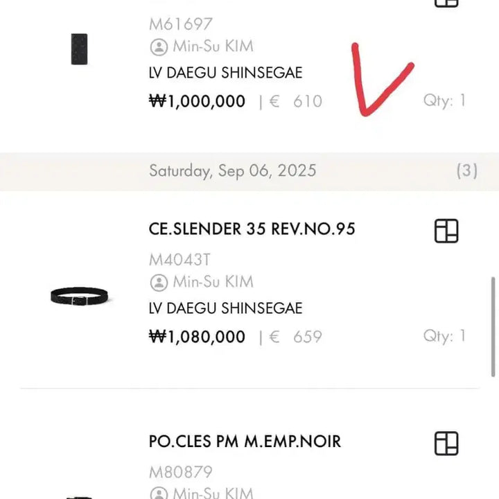 [BUNJANG] Louis Vuitton Eclipse Brazza Long Wallet / [새상품급]루이비통 이클립스 브라짜 장지갑