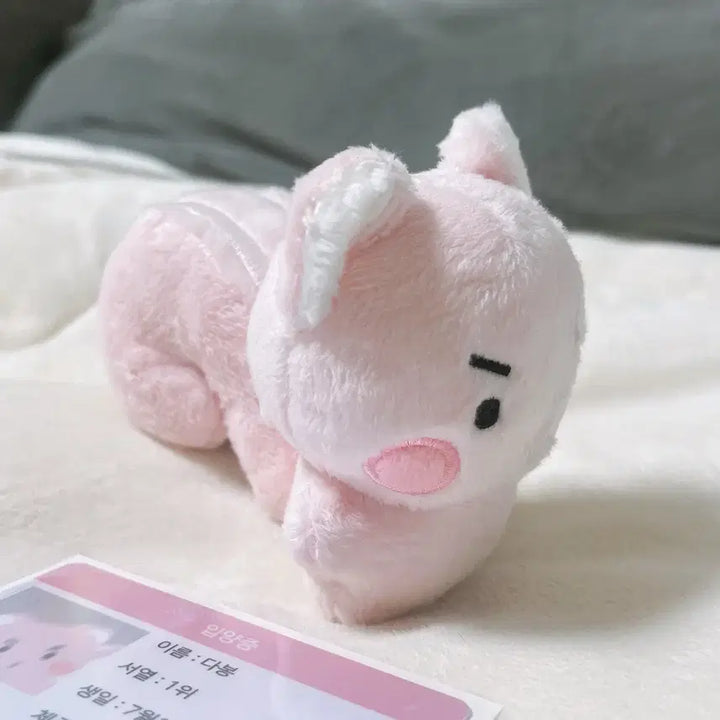 [BUNJANG] PLAVE Bambi Amdabong Doll / 플레이브 밤비 비공식 굿즈 밤비 - 암다봉 인형 양도