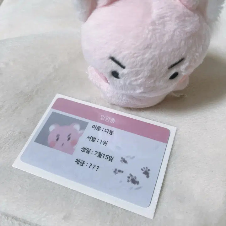 [BUNJANG] PLAVE Bambi Amdabong Doll / 플레이브 밤비 비공식 굿즈 밤비 - 암다봉 인형 양도