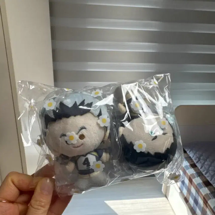 [BUNJANG] Bokuto Akaashi Kinokoo Keyring / 보쿠토 아카아시 키노코스