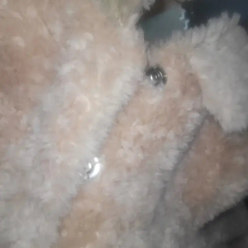 [BUNJANG] Wool 100% Sheepskin Mouton / 양털100