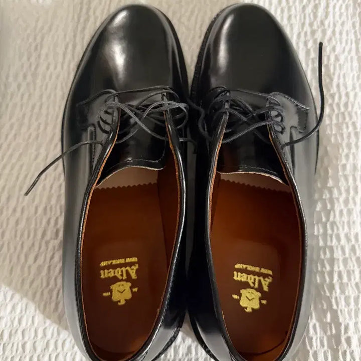 [BUNJANG] Alden 9901 9E Shoes / 알든 9901 9e