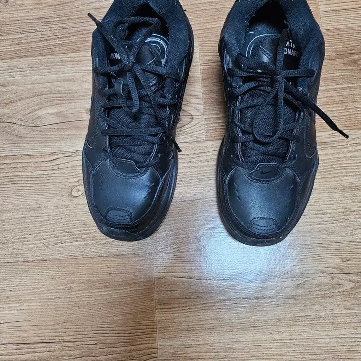 [BUNJANG] Nike Air Max Monaco 250 Sneakers / 나이키에어맥스모나코 250