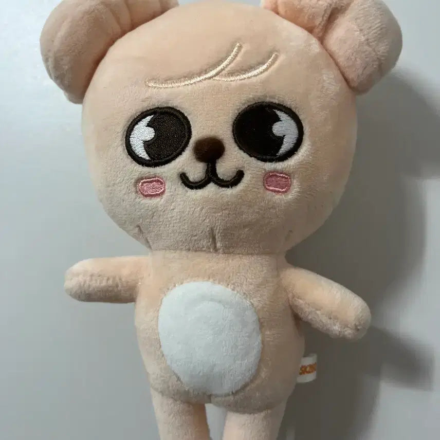 [BUNJANG] Stray Kids Seungmin Skzoo Kongkiz Plush / 스키즈 스키주 퍼핌 승민 인형 판매 엠디 콩키주