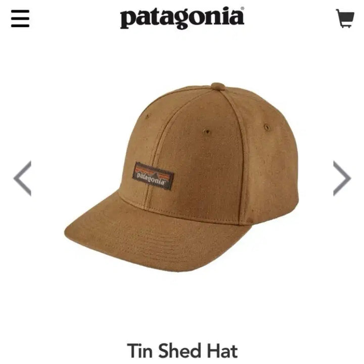 [BUNJANG] Patagonia Tin Shed Hat Beige Cap / 파타고니아 볼캡 틴쉐드 햇 뷔 착용 모자