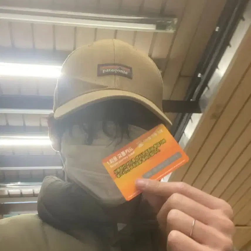 [BUNJANG] Patagonia Tin Shed Hat Beige Cap / 파타고니아 볼캡 틴쉐드 햇 뷔 착용 모자