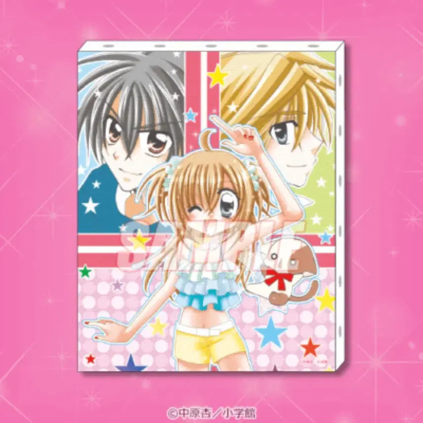 [BUNJANG] Kirarin Revolution Canvas Art Board A / 라라의스타일기 키라링레볼루션 원작 일러스트 캔버스 아트 보드 A상