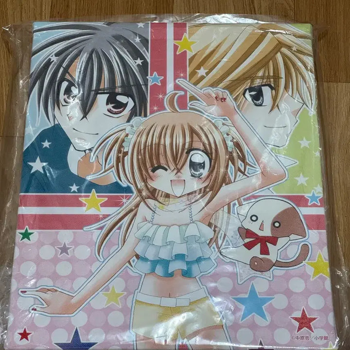 [BUNJANG] Kirarin Revolution Canvas Art Board A / 라라의스타일기 키라링레볼루션 원작 일러스트 캔버스 아트 보드 A상