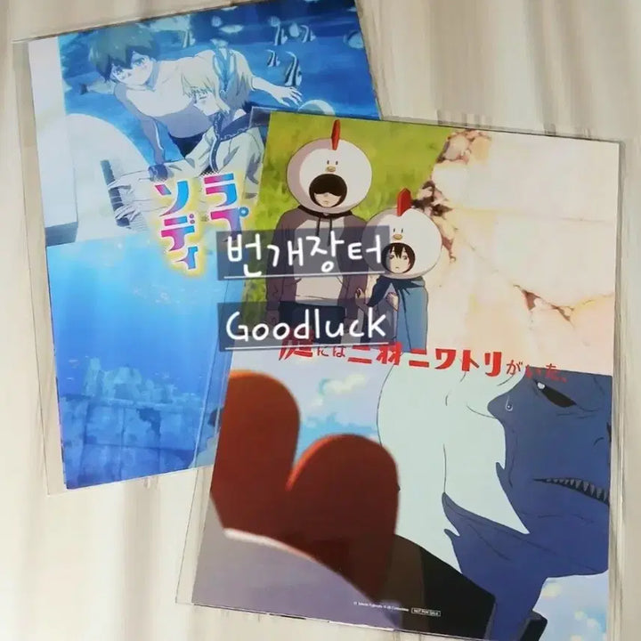 [BUNJANG] Chainsaw Man Fujimoto Tatsuki Poster Set / 8종]후지모토타츠키 포스터 굿즈17-26스틸 타츠키 체인소맨 가이드북별도