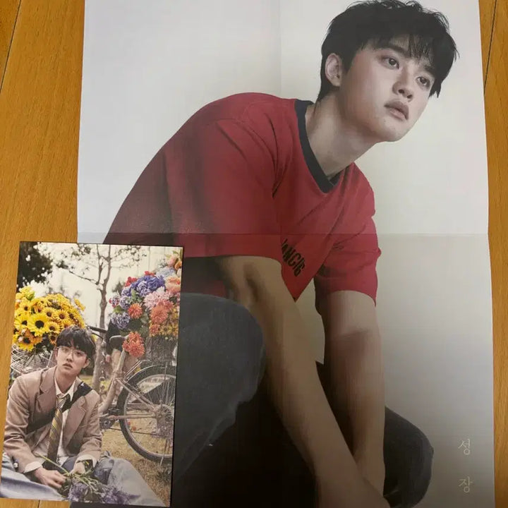 [BUNJANG] EXO D.O. Photocard / 디오(도경수) 성장 앨범 + 포카