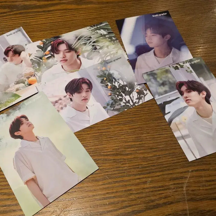 [BUNJANG] Day6 Jae & Jaehyung Bundle Set Postcard / 데이식스 센토그래퍼 엽서 박제형 제이 모음