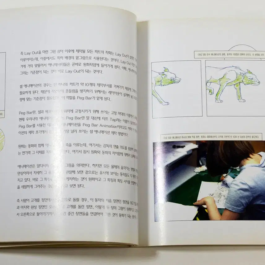 [BUNJANG] Lee Hyun-sae's Armageddon Production Process Book / 아마게돈 제작과정 하늘소