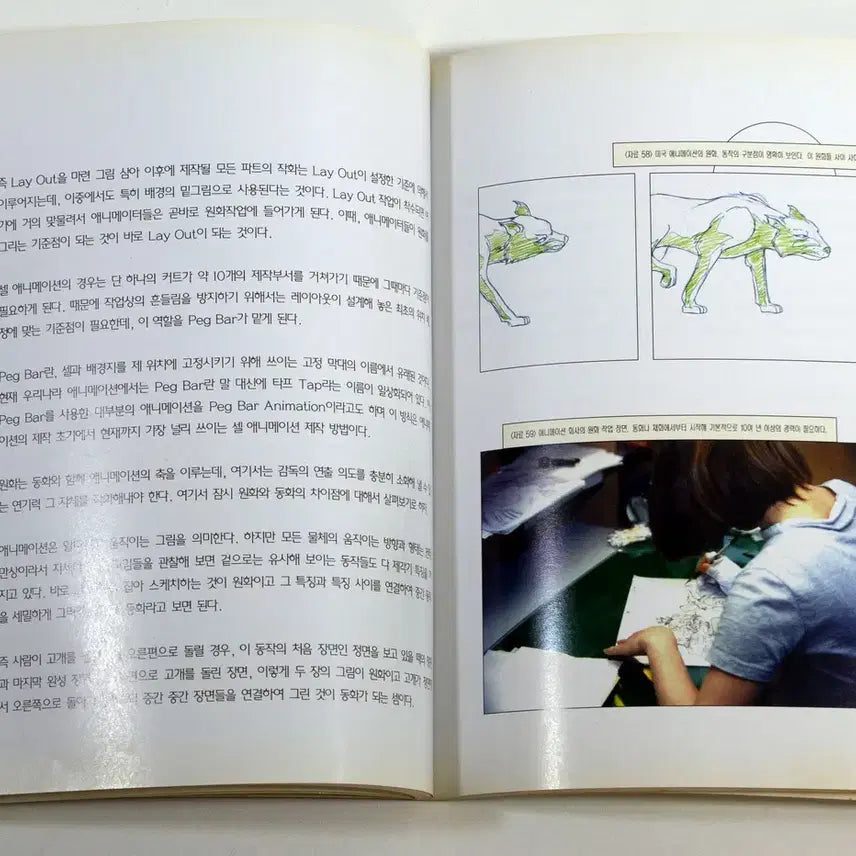 [BUNJANG] Lee Hyun-sae's Armageddon Production Process Book / 아마게돈 제작과정 하늘소