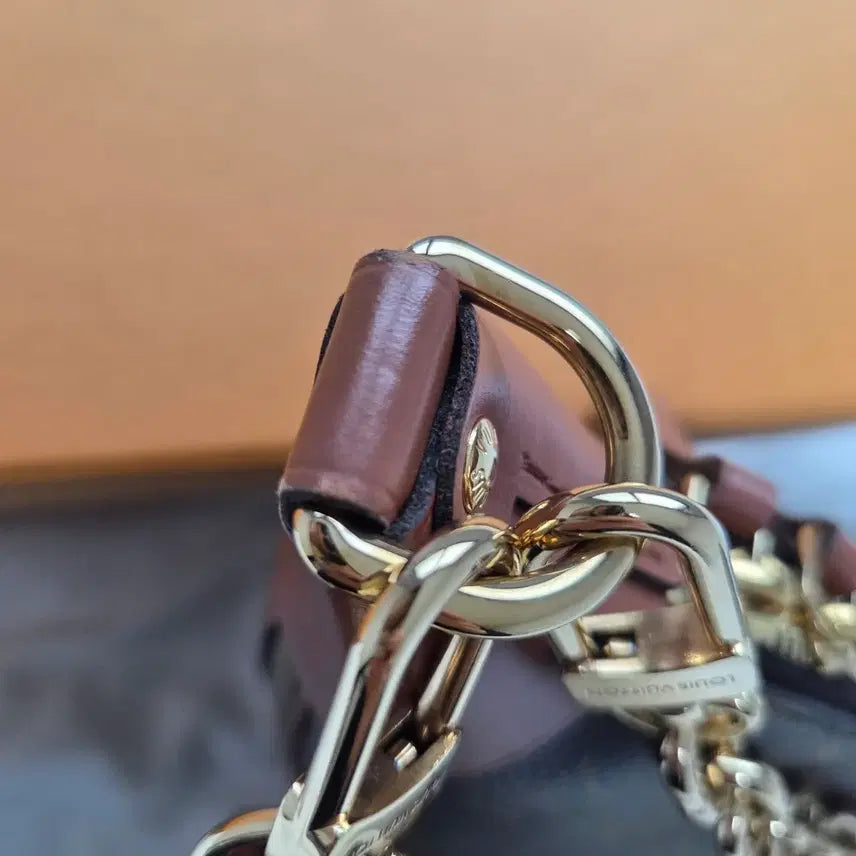 [BUNJANG] Louis Vuitton Loop Hobo Monogram Full Set / 루이비통 루프호보 모노그램 풀세트 (방수 이너백 포함)