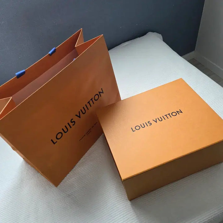 [BUNJANG] Louis Vuitton Loop Hobo Monogram Full Set / 루이비통 루프호보 모노그램 풀세트 (방수 이너백 포함)