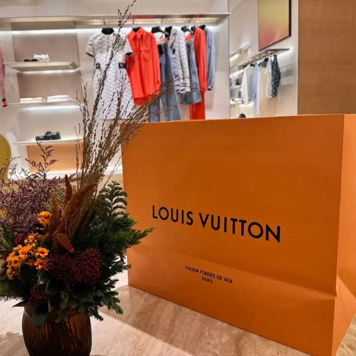 [BUNJANG] Louis Vuitton Loop Hobo Monogram Full Set / 루이비통 루프호보 모노그램 풀세트 (방수 이너백 포함)