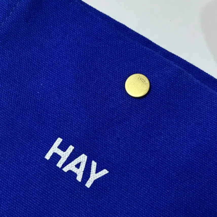 [BUNJANG] HAY Everyday Tote Bag - Blue / HAY 헤이 에브리데이 블루 토트백