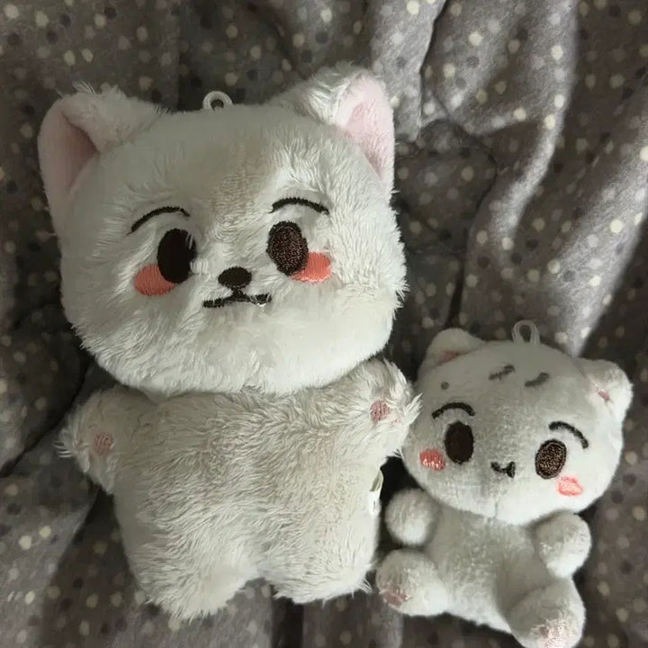 [BUNJANG] NCT Renjun Bundle Set Doll / 엔시티 런쥔 인형 일괄 양도 런먕이 쪼먕이