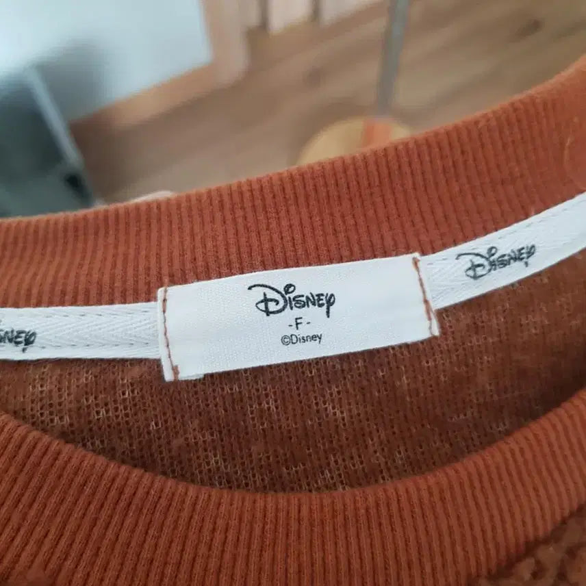 [BUNJANG] Disney Official Mickey &amp; Pluto Fleece Sweatshirt - Brown / 디즈니정품 뽀글이 맨투맨 브라운