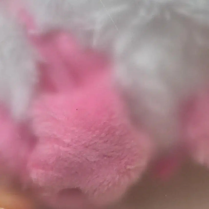 [BUNJANG] Original Wishdoll Pangi / 미개봉) 오리지널 위시돌 팡이