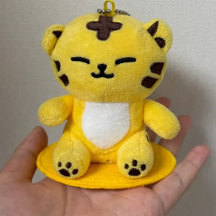 [BUNJANG] None / 탐탐이 판매함다