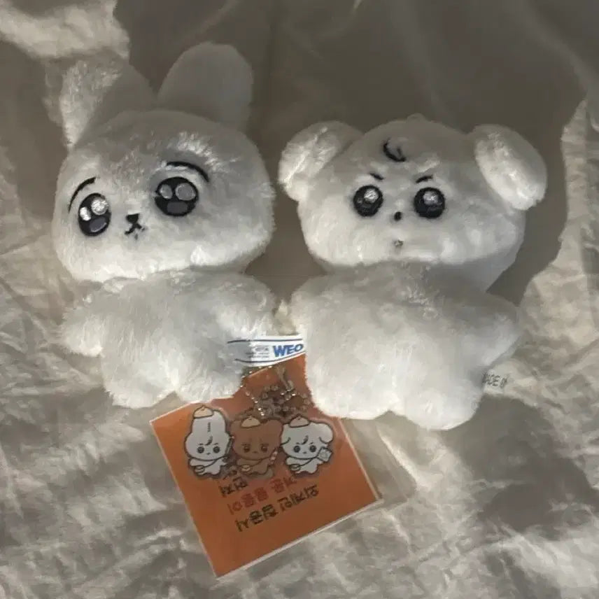 [BUNJANG] Jungmo Photocard / 정뭉이판매