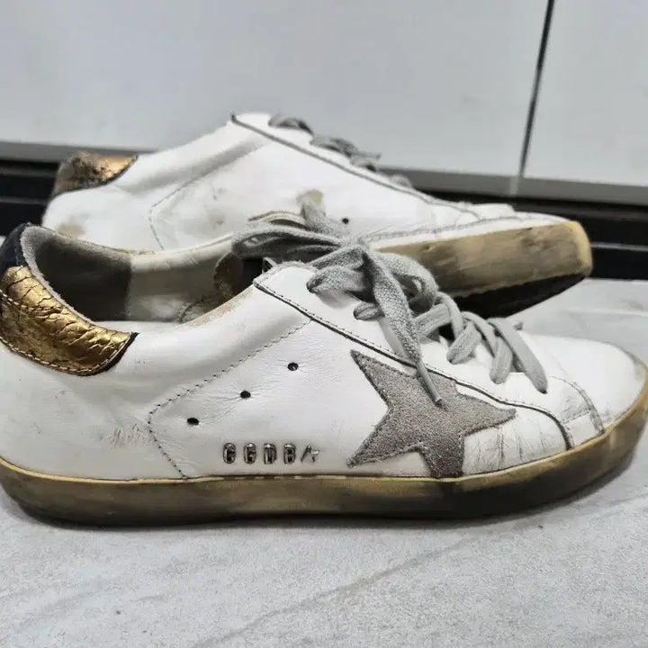 [BUNJANG] Golden Goose Sneakers / 골든구스 37