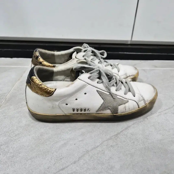 [BUNJANG] Golden Goose Sneakers / 골든구스 37