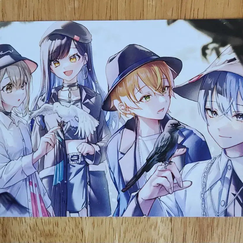 [BUNJANG] Project Sekai Bundle Set Unreleased Photocard / 프로젝트 세카이 비공굿 엽서, 포토카드 일괄로 판매합니다