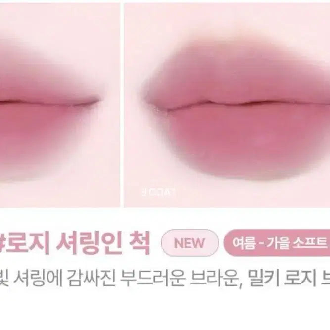 [BUNJANG] Lilybyred Rosy Shaling Tint Set / 릴리바이레드 틴트 + 블러팟 증정 기획세트 14호 로지 셜링인척