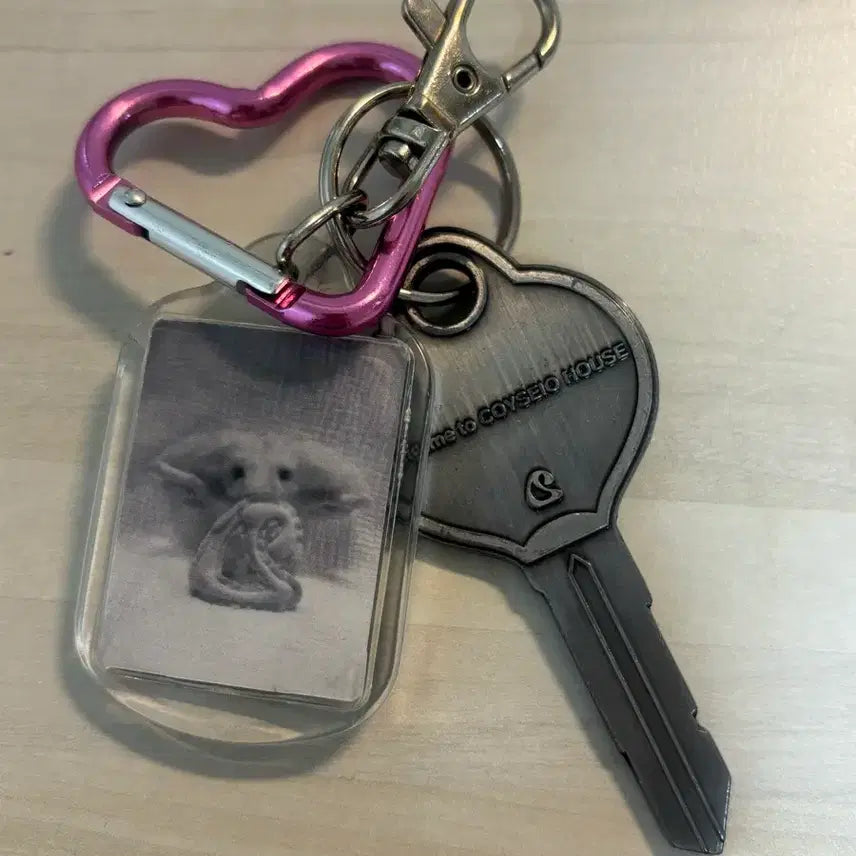 [BUNJANG] Koiseiyo Keyring / 코이세이오 키링
